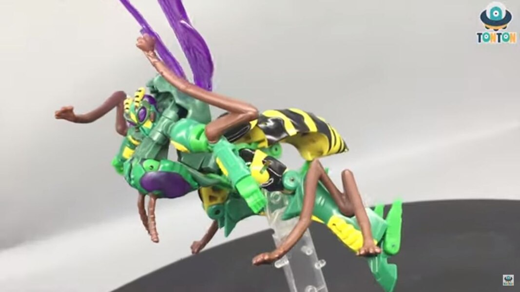 Transformers Kingdom Deluxe Class Waspinator  (23 of 38)